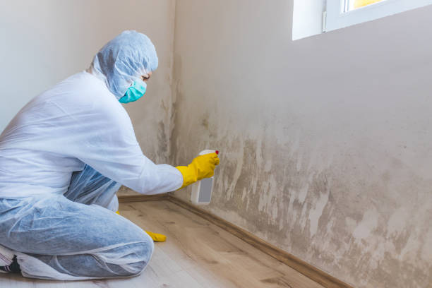 Mold inspector in Hollywood performing thermal imaging